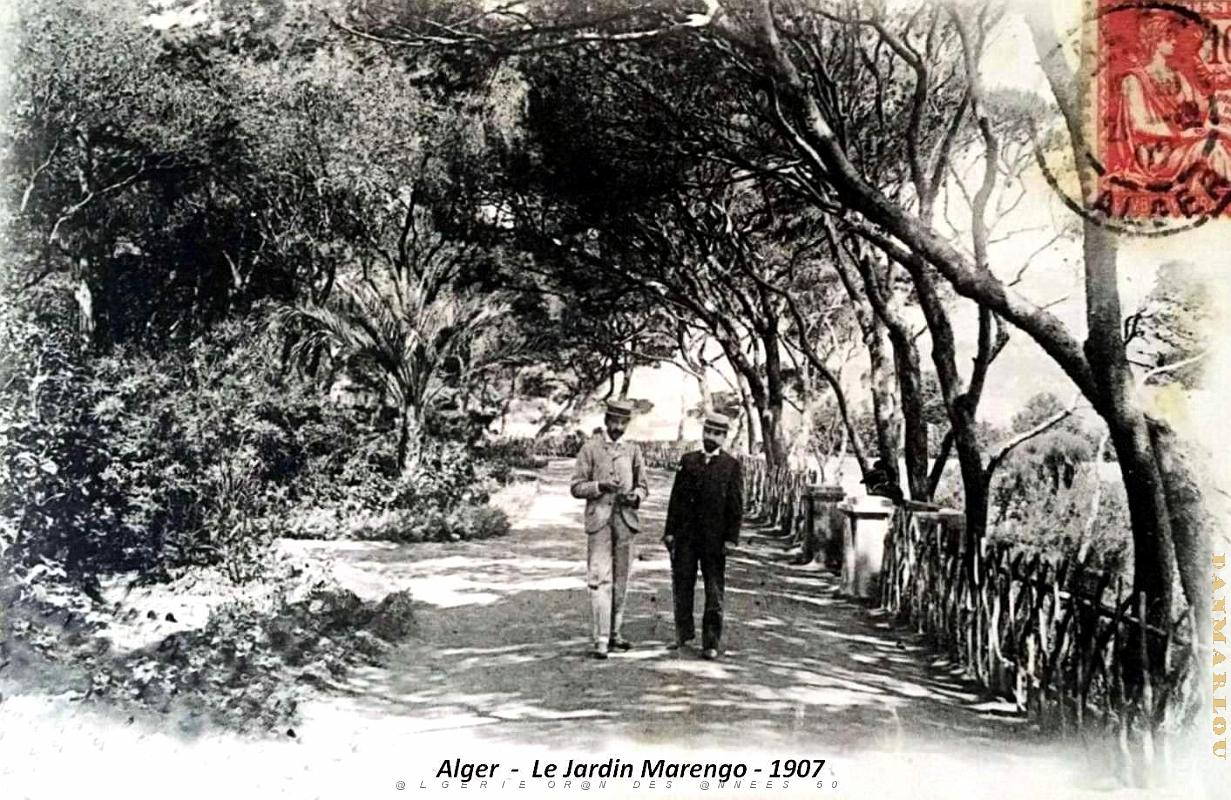 Alger - Jardin Marengo - 1907  .jpg